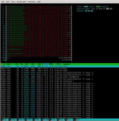 24CPU-htop-7900.png